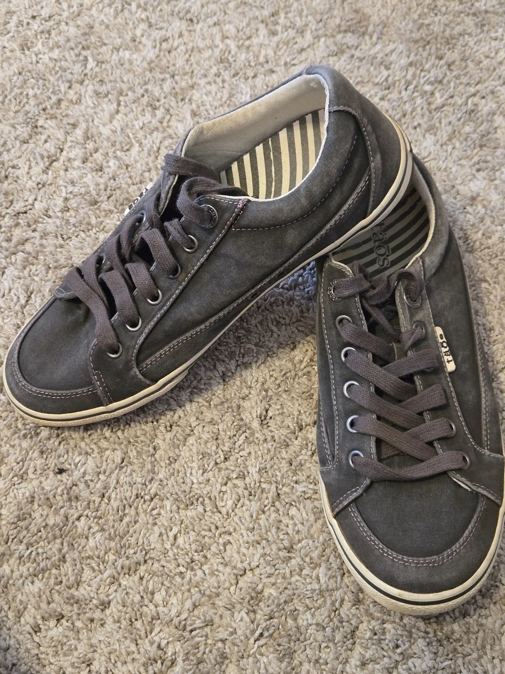 Taos Footwear Mens Gray Canvas Lace-Up Sneakers
